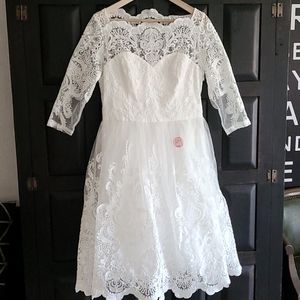 White Lace dress Chichi London